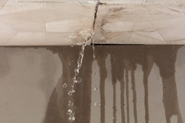 Professional Structural Drying technician working in Reva, VA